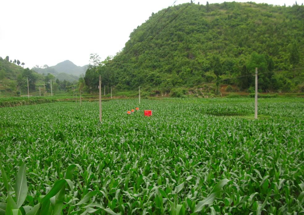 貴州有機(jī)肥廠家