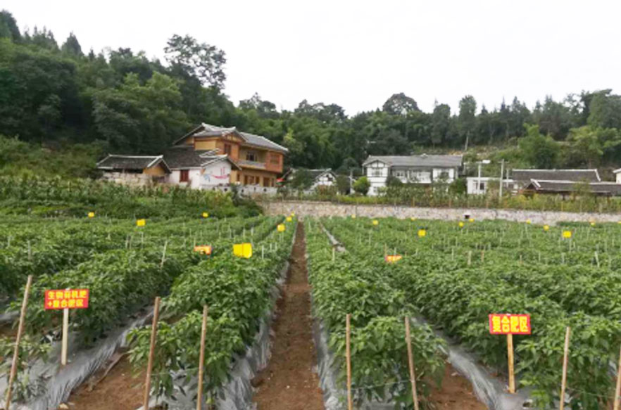 貴陽生物有機(jī)肥