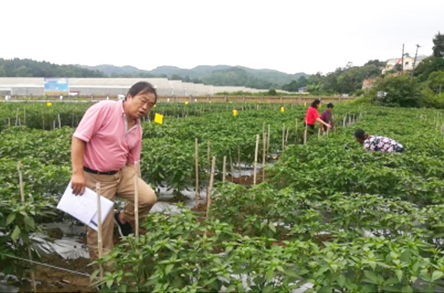 貴陽生物有機(jī)肥